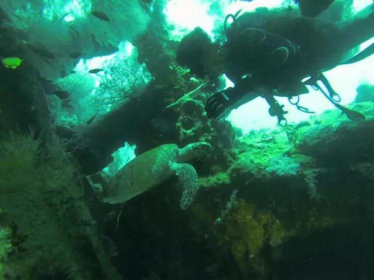 轨道交通6号线软件园站主体结构封顶